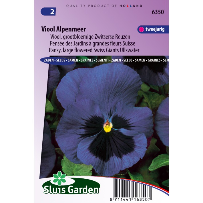 Viool Zwitserse Reuzen Alpenmeer