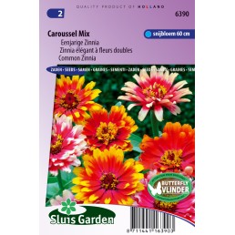 Zinnia élégant à fleurs doubles Caroussel Mix Zinnia élégant à fleurs doubles Caroussel Mix