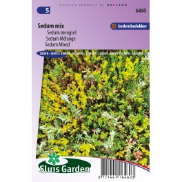 Sedum Mix