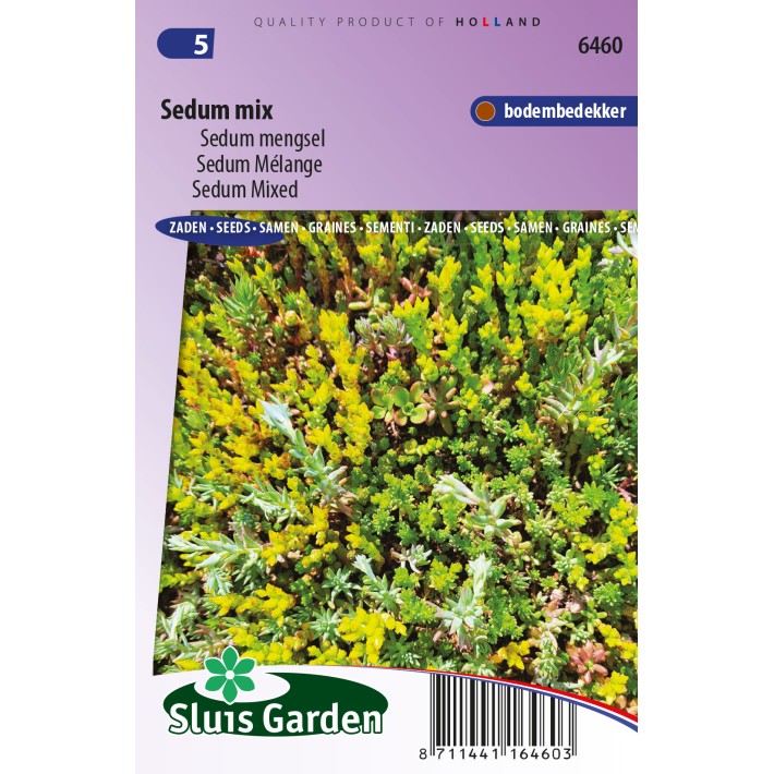 Sedum Mix