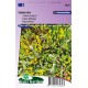 Sedum Mix