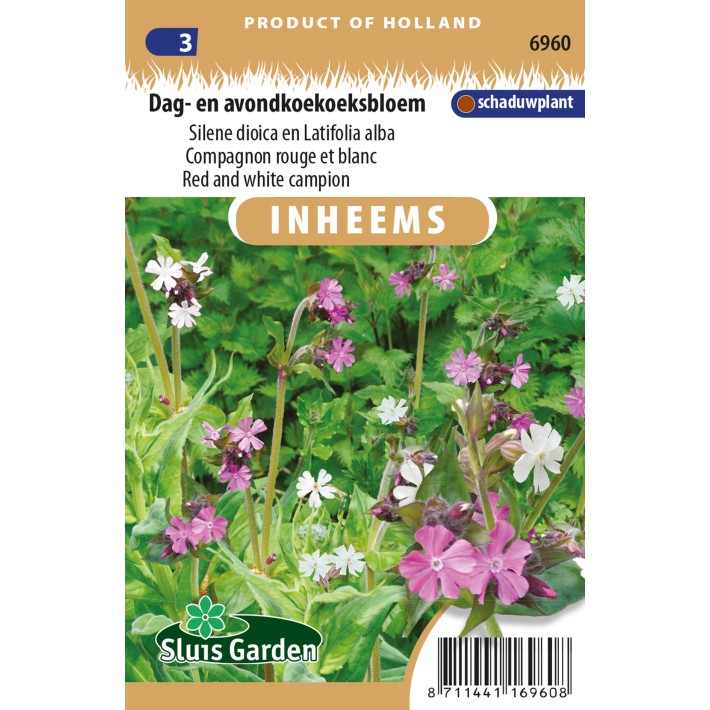 Dag- en avondkoekoeksbloem