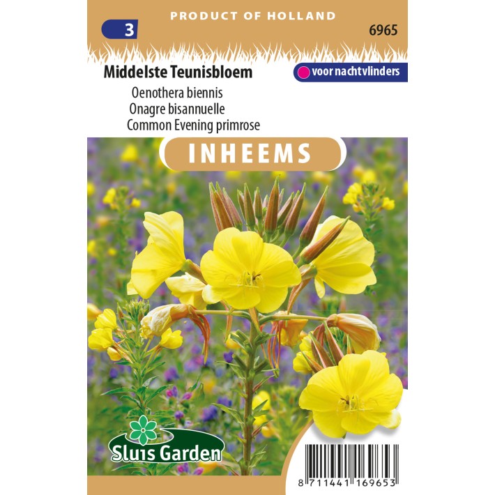 Middelste Teunisbloem