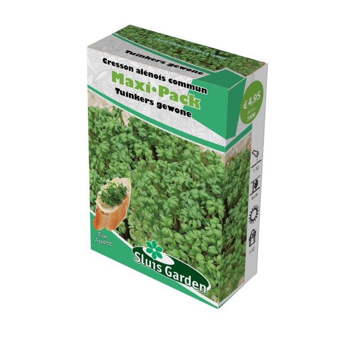 Cress common or plain, Pepperweed (Lepidium sativum)  MaxiPack