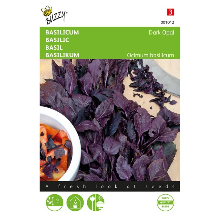 Buzzy® Basil - Purple - Ocimum basilicum Dark Opal