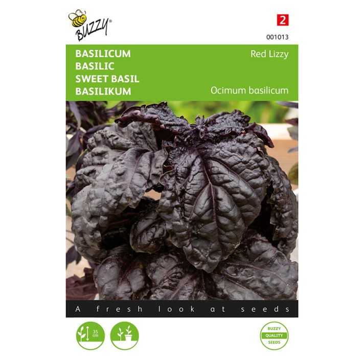 Buzzy® Basil Red Lizzy - Red Lettuce Leaved