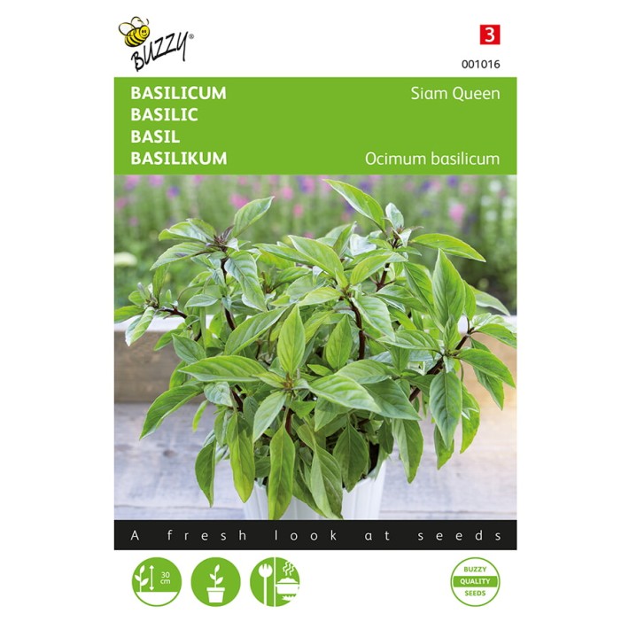 Buzzy® Basil Siam Queen