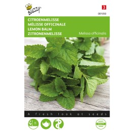 Citroenmelisse