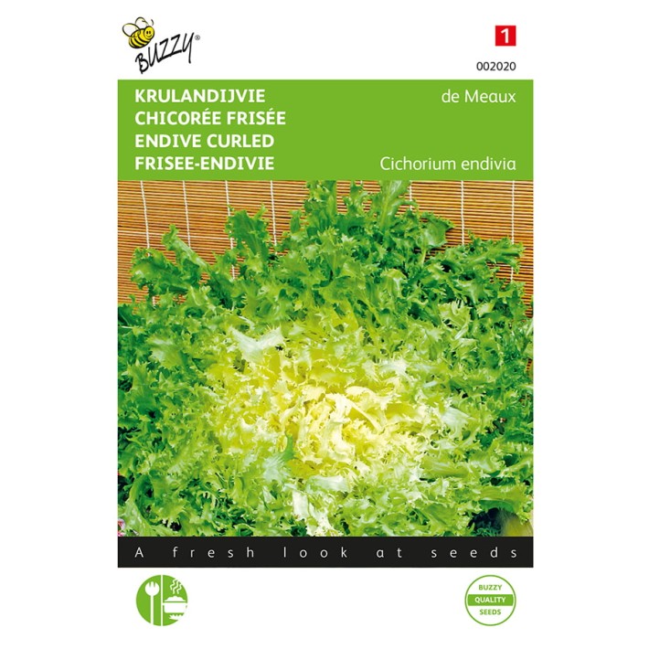 Buzzy® Endive de Meaux Moss Curled