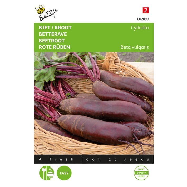 Buzzy® Beetroot Cylindra