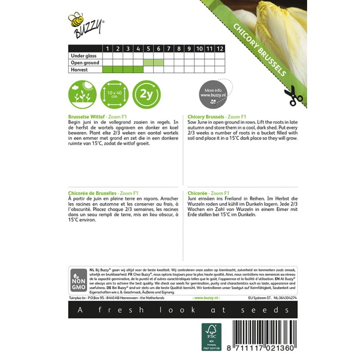 Buzzy® Chicory Brussels Zoom F1