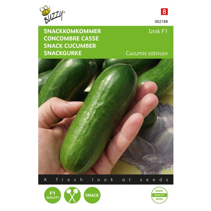 Buzzy® Concombre court Snack Iznik F1