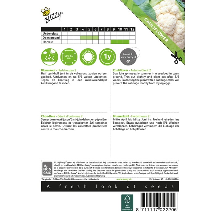 Buzzy® Cauliflower Autumn Giant 2