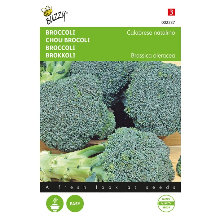 Buzzy® Broccoli Calabrese natalino, green