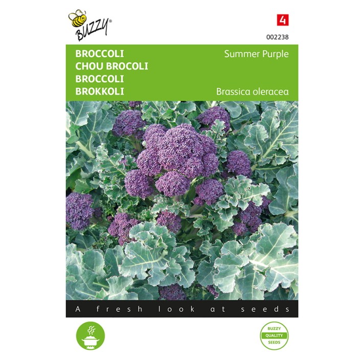 Buzzy® Broccoli Summer Purple