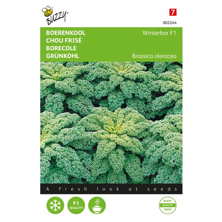 Buzzy® Borecole or Kale Reflex F1