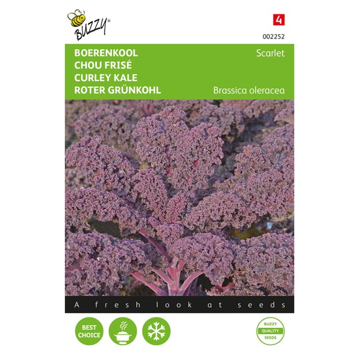 Buzzy® Borecole or Curly kale Scarlet (red)