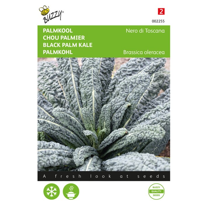 Buzzy® Black leaf kale Nero di Toscana