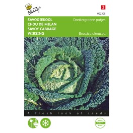 Buzzy® Savoy cabbage Brussels