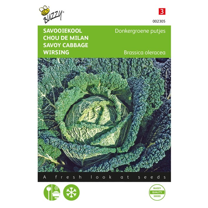 Buzzy® Savoy cabbage Brussels