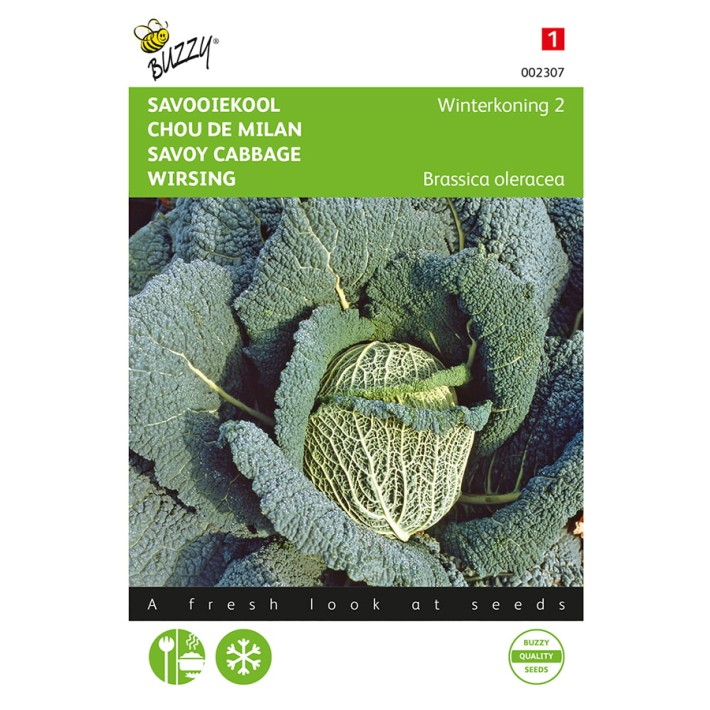 Buzzy® Savoy Cabbage Winterking 2