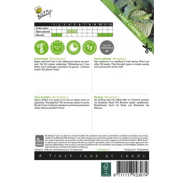 Buzzy® Savoy Cabbage Winterking 2