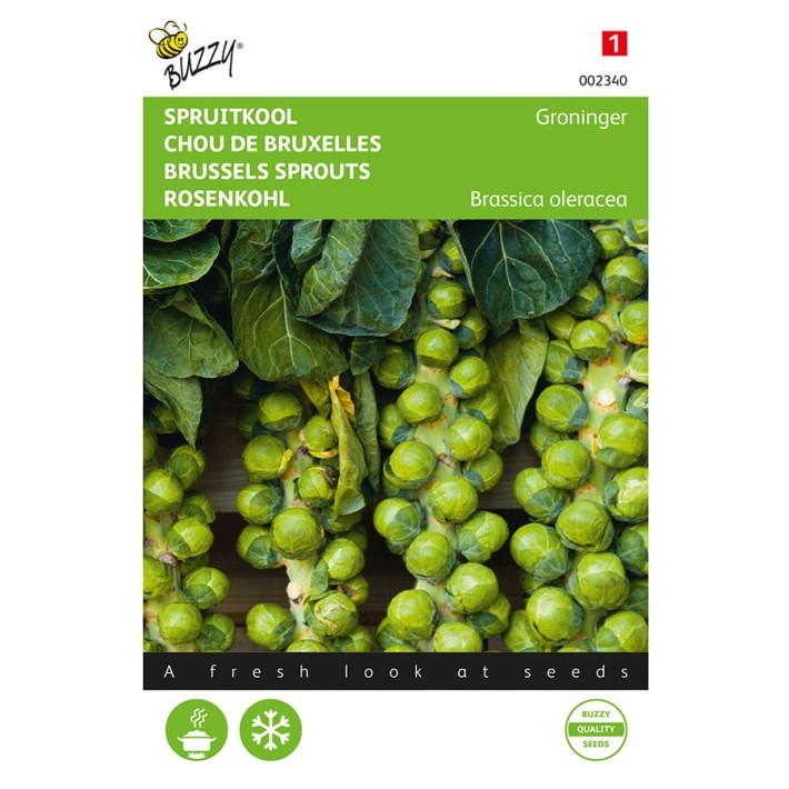 Buzzy® Brussels Sprouts Groninger