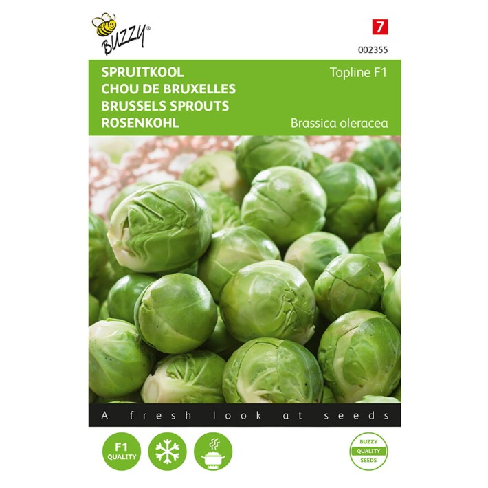 Buzzy® Brussels sprouts Topline F1