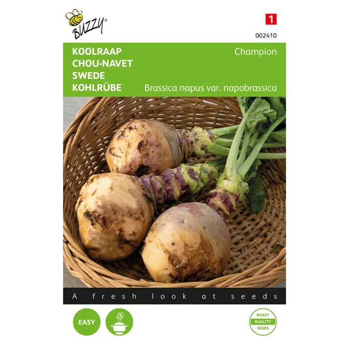 Buzzy® Rutabaga Champion, purple top