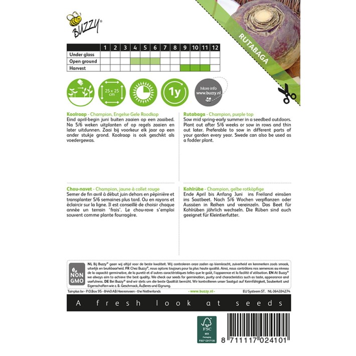 Buzzy® Rutabaga Champion, purple top