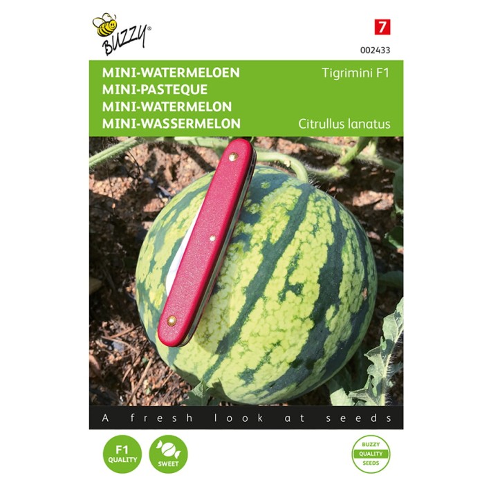 Buzzy® Watermelon Tigrimini