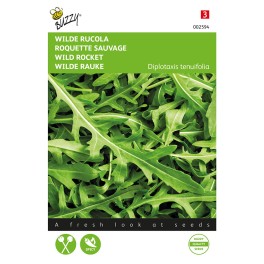 Rucola Selvatica
