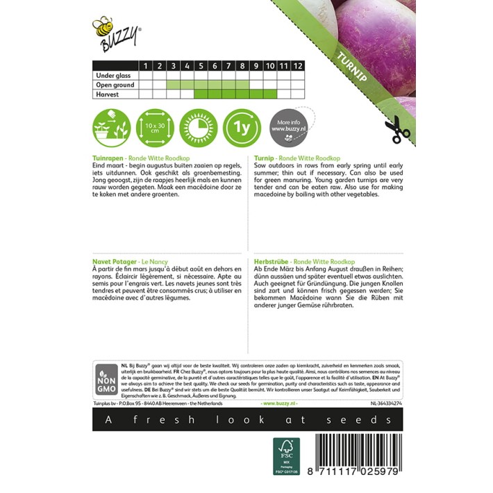Buzzy® Turnip De Nancy, early purple top white globe