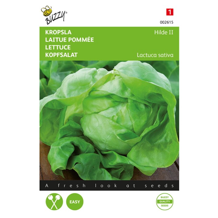 Buzzy® Lettuce Hilde II
