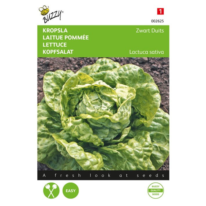 Buzzy® Lettuce All Year Round