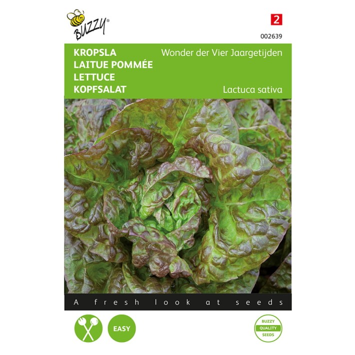 Buzzy® Laitue - Merveille des quatre saisons