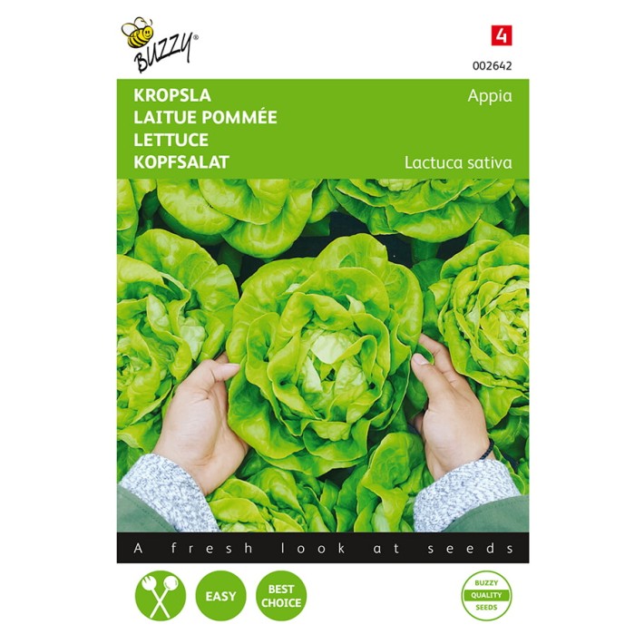 Buzzy® Laitue pommée Appia
