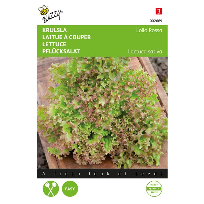 Buzzy® Laitue à couper Lollo Rossa
