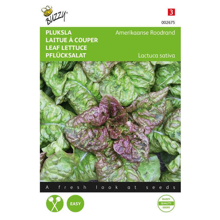 Buzzy® Leaf Lettuce American brown
