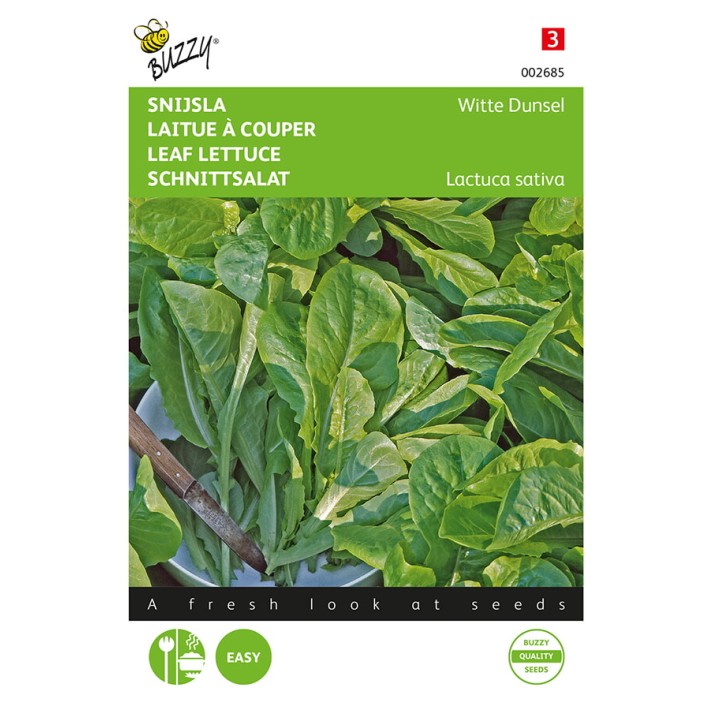 Buzzy® Leaf lettuce Blonde Witte Dunsel