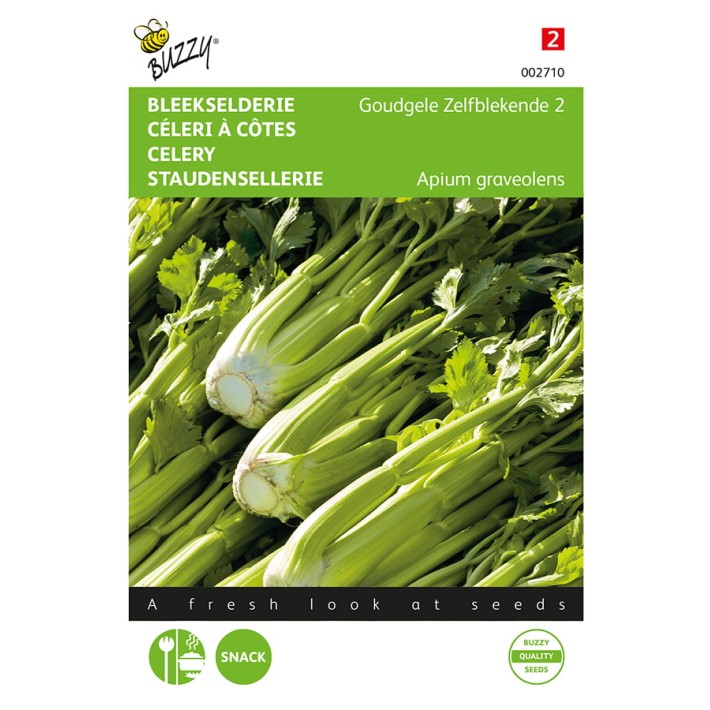Buzzy® Celery Golden Self Blanching 2