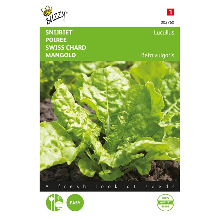Buzzy® Swiss Chard Lucullus