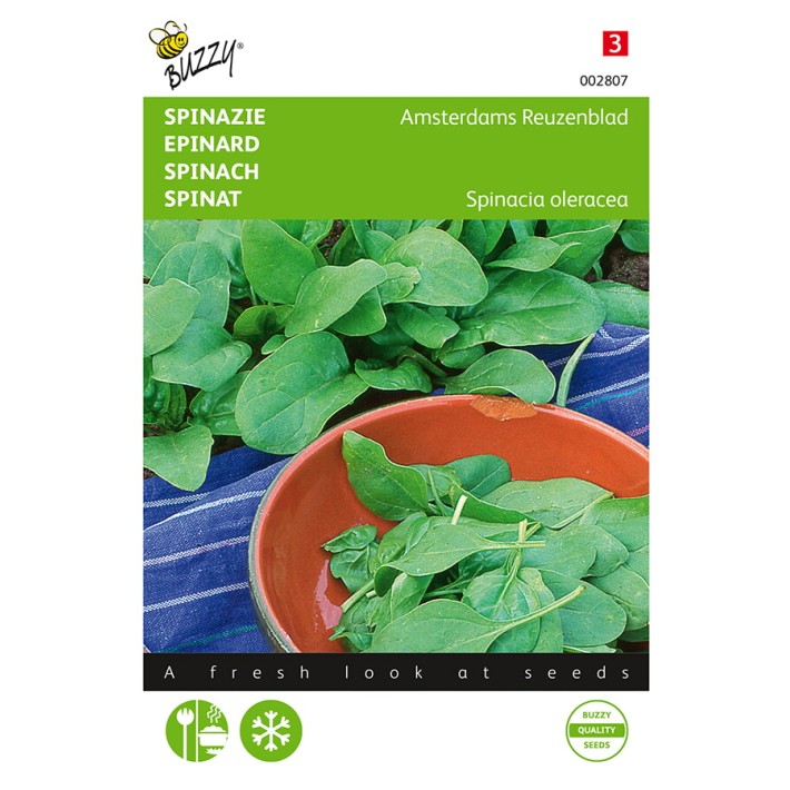 Buzzy® Spinach Amsterdams Reuzenblad - prickly seeded