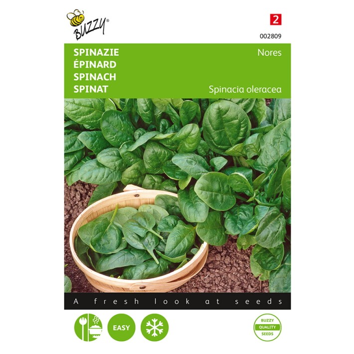 Buzzy® Spinach Nores