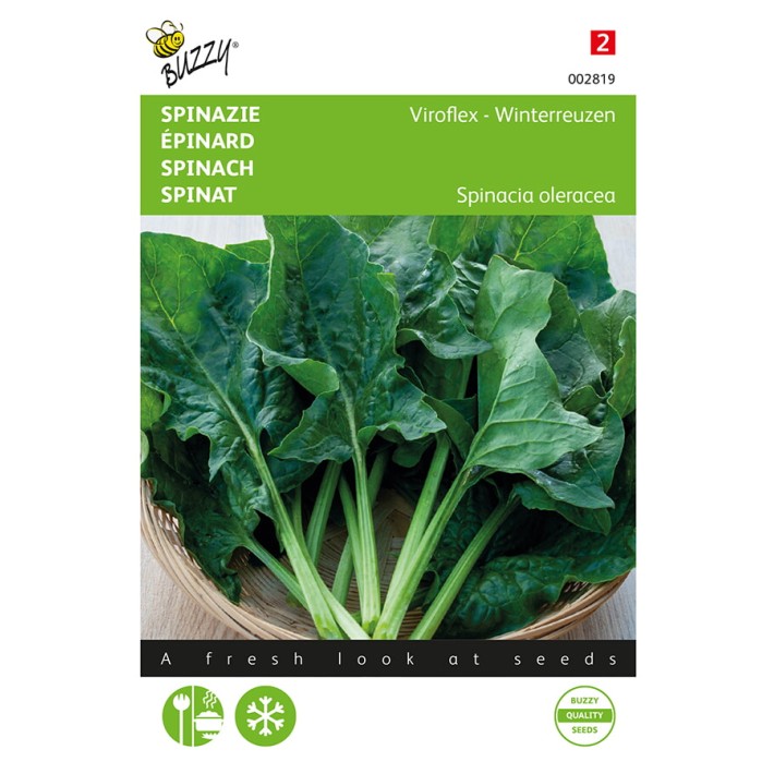 Buzzy® Spinach Giant winter