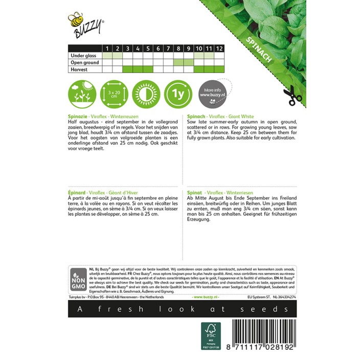 Buzzy® Spinach Giant winter