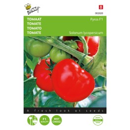 Buzzy® Tomato Pyros F1
