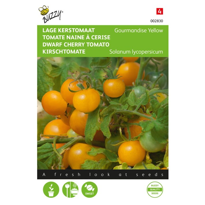 Buzzy® Tomato Gourmandise cherry