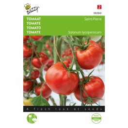 Buzzy® Tomato Saint Pierre