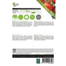 Buzzy® Tomato Saint Pierre